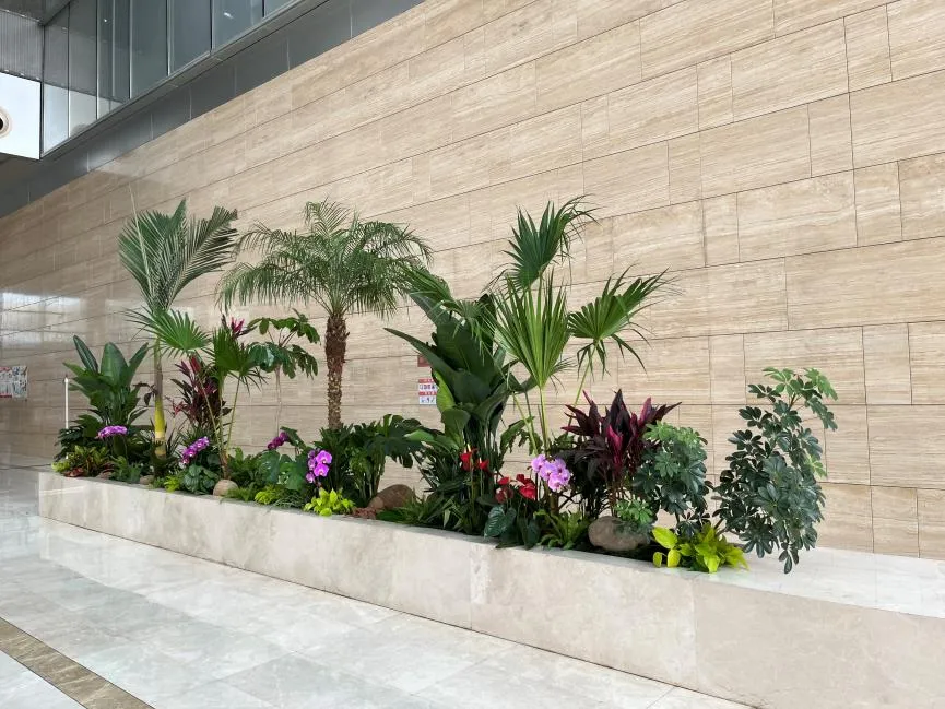 奉化植物租摆专业，塑造魅力绿植景观